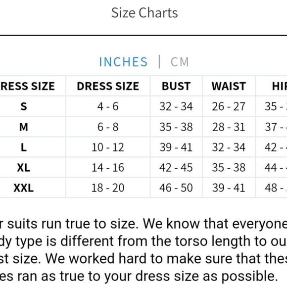 NWT 2XL - Midrise Full Coverage Briefs Bikini Swim Bottom in Palm Print - Picture 4 of 15